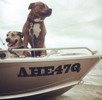 Custom Boat Rego Numbers